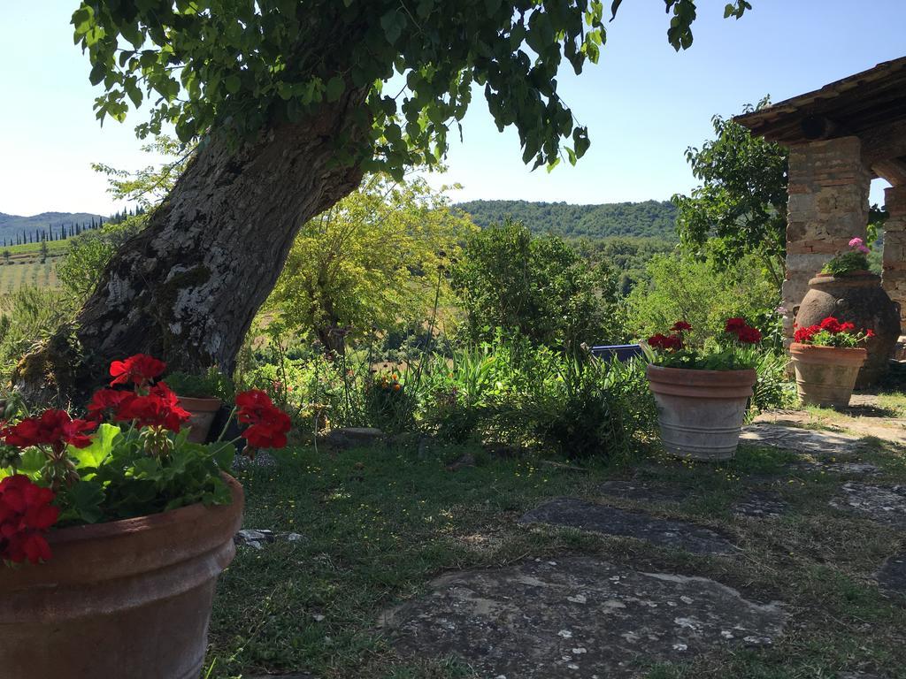 Podere Terreno Alla Via Della Volpaia Radda in Chianti Exteriér fotografie