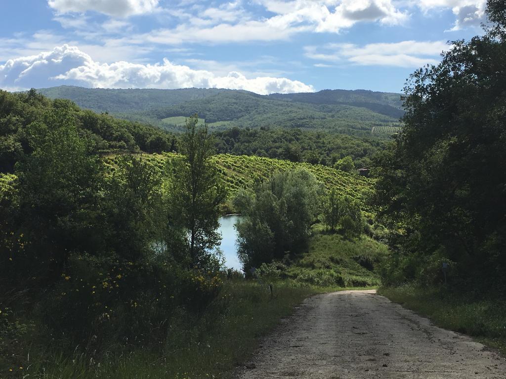 Podere Terreno Alla Via Della Volpaia Radda in Chianti Exteriér fotografie