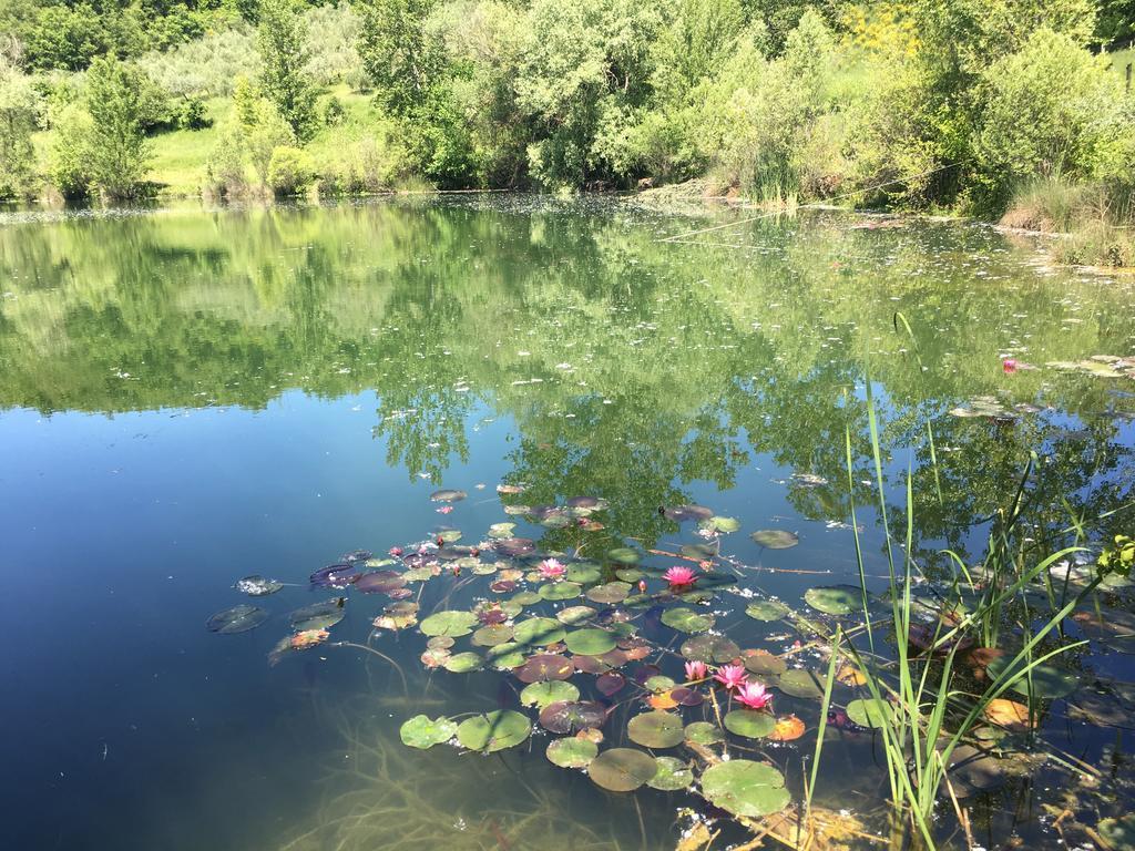 Podere Terreno Alla Via Della Volpaia Radda in Chianti Exteriér fotografie