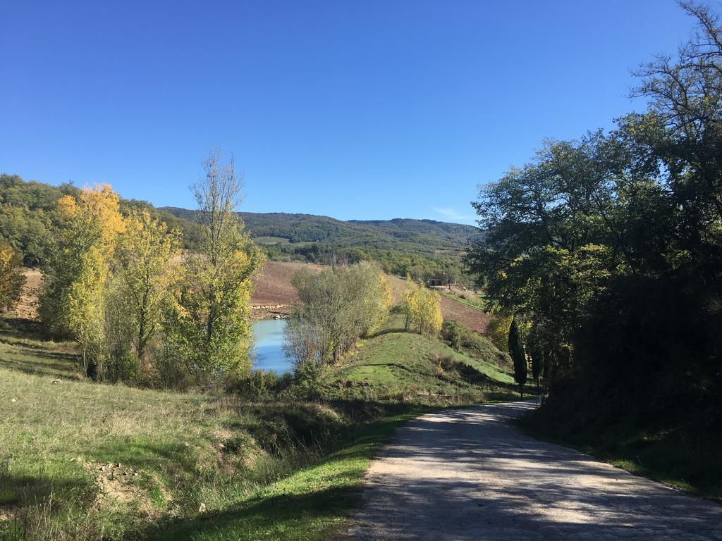 Podere Terreno Alla Via Della Volpaia Radda in Chianti Exteriér fotografie