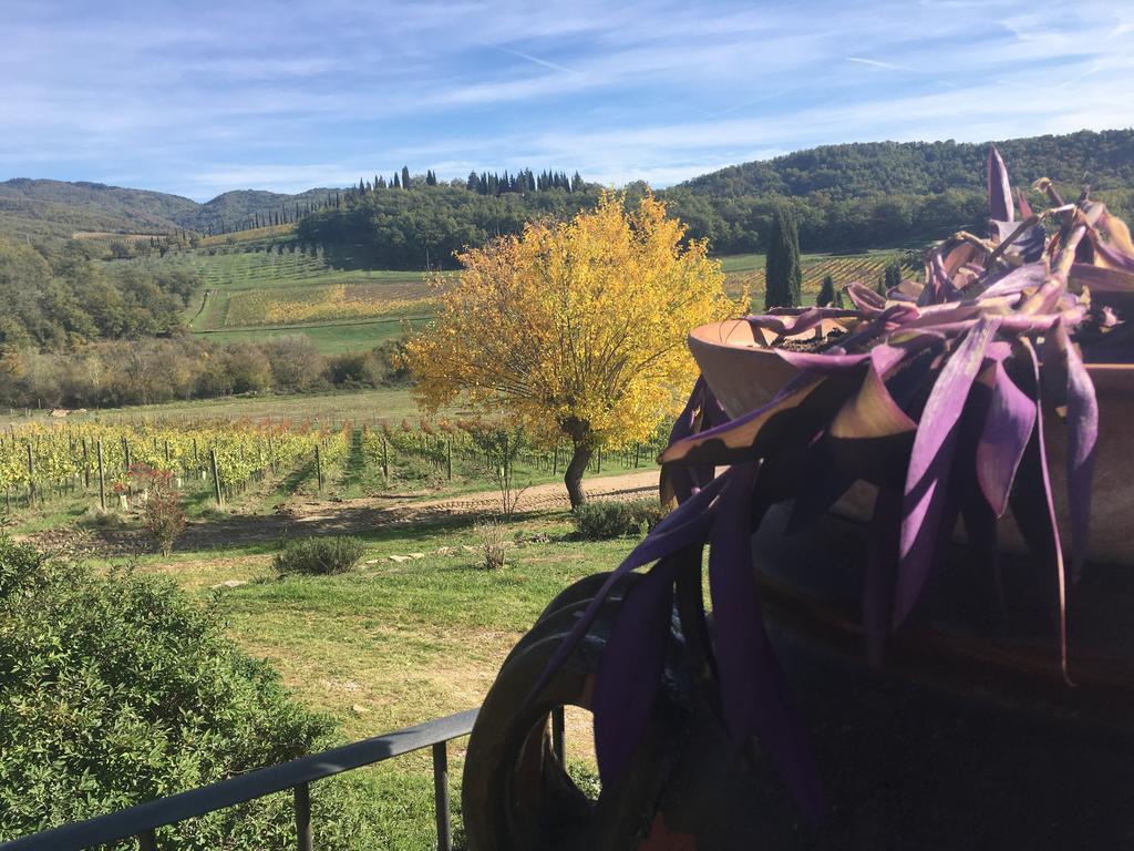 Podere Terreno Alla Via Della Volpaia Radda in Chianti Exteriér fotografie