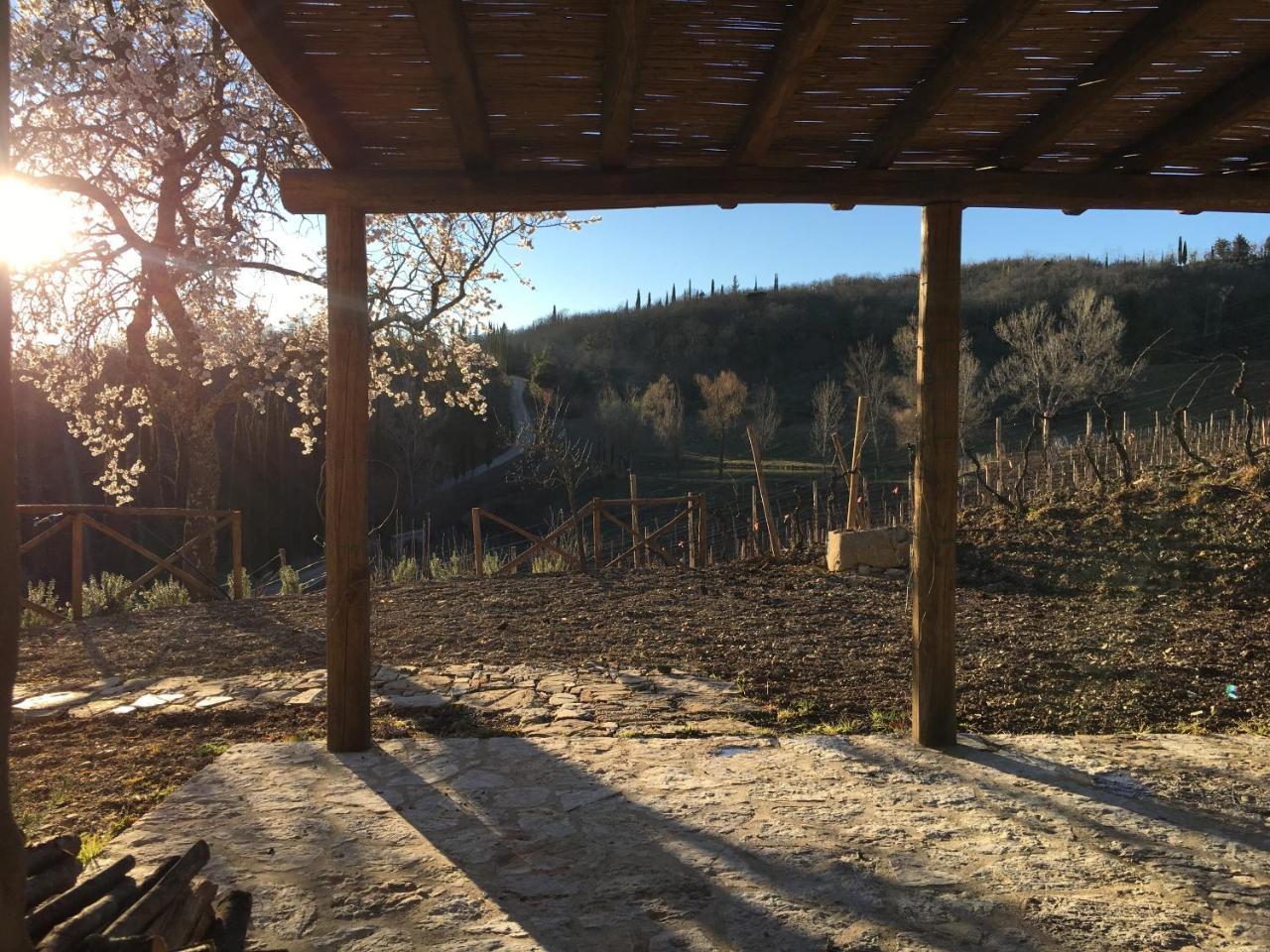 Podere Terreno Alla Via Della Volpaia Radda in Chianti Exteriér fotografie